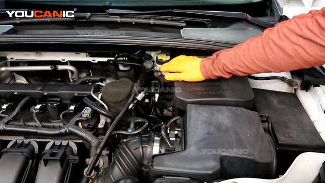 2012-2019 Ford Focus - How to Check and Add Brake Fluid смотреть онлайн