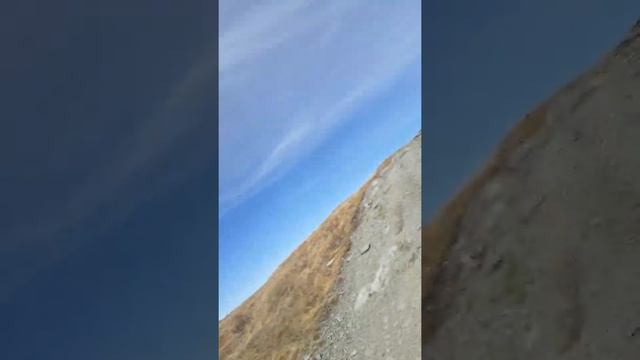 7 февраля 2021 г. смотреть онлайн