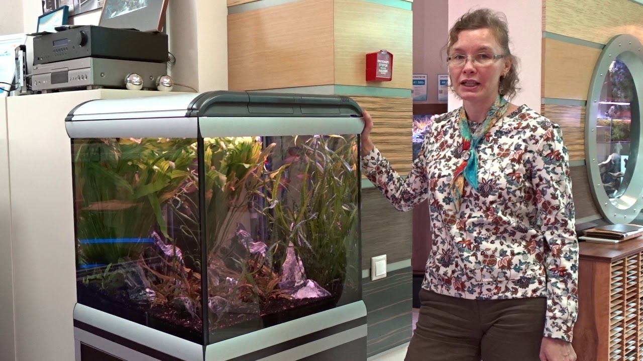 #Аквариум с тумбой STAR CUBE смотреть онлайн