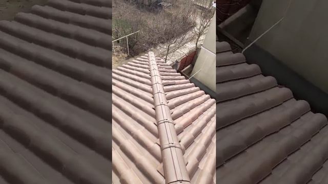 8000$ просто в жопу! смотреть онлайн