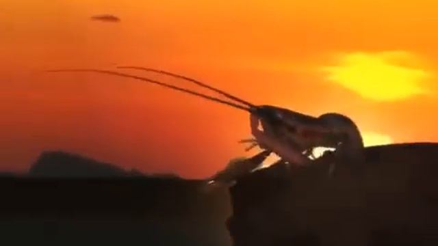 когда рак на горе свистнет(2024 год!!!!!!!!!!!!!!!!!17.01.23) смотреть онлайн