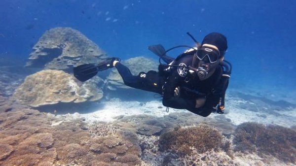 Coral Restoration around Fregate Island - Seychelles