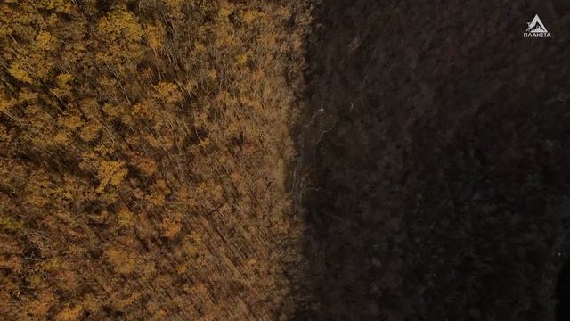 Мезмай с Планетой смотреть онлайн