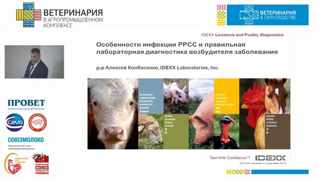 Ветеринария в свиноводстве