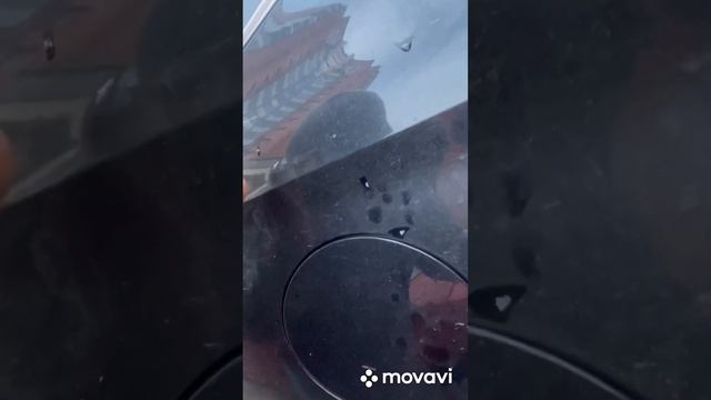 Выскочила еще одна поломка на моем Хавейл Джолион смотреть онлайн