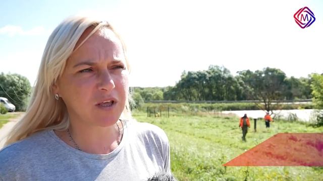 В Большом Подольске проходит третий этап борьбы с борщевиком