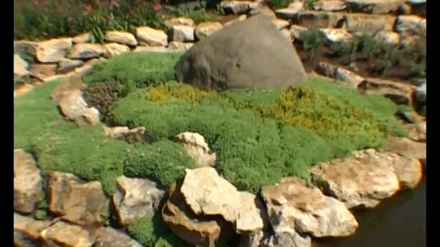 SSS 06 смотреть онлайн