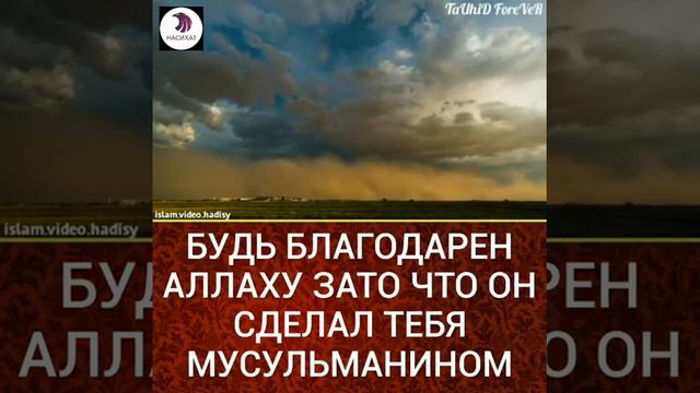 Будьте благодарны Аллаху зато что он сделал вас мусульманинами смотреть онлайн