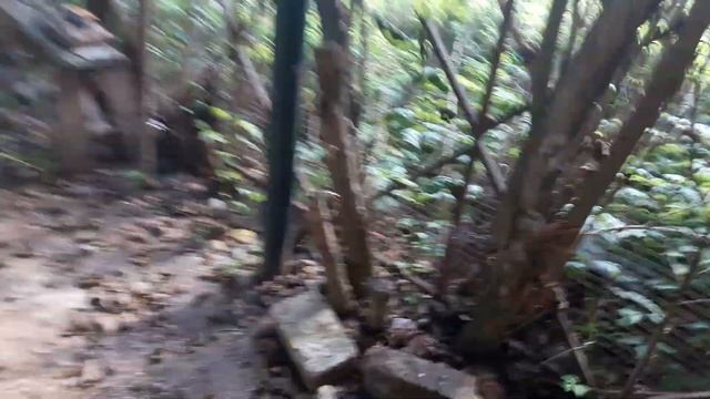 Прочный навес для двух машин по-колхозному.