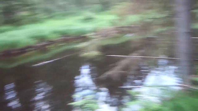 Рыбалка на реке,Щука в июле,лесные речки Вологодчины. смотреть онлайн