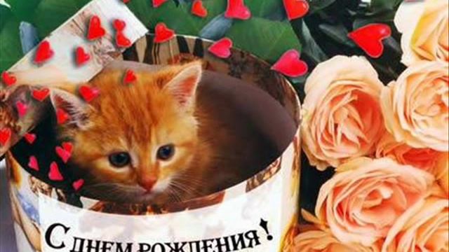 Сергей Кот & Lightbeat - с днем рождения смотреть онлайн