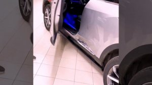 HAVAL - выдвижные подножки