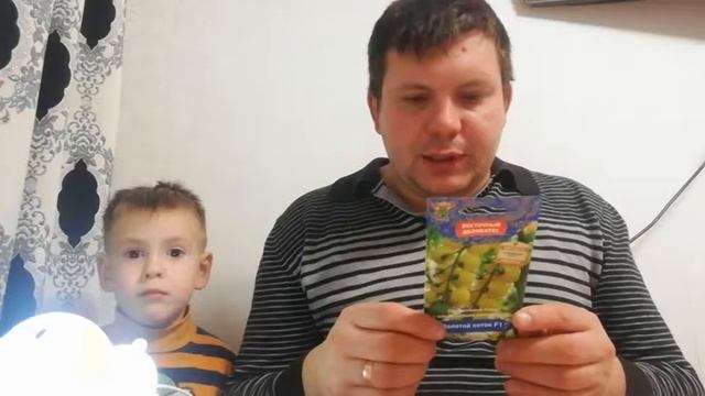 Томат Сорта Золотой Поток. смотреть онлайн