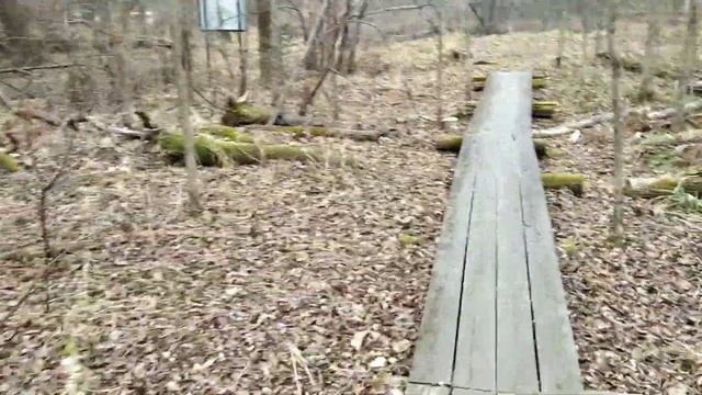 Как собирать живицу, природный заповедник Бастак! смотреть онлайн