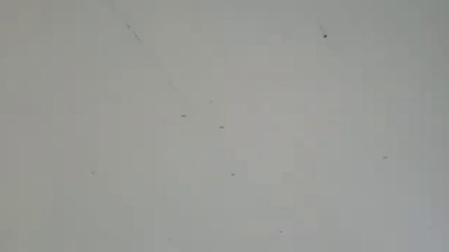 ДОМ ИЗ СМЛ-ПАНЕЛЕЙ NEO Калужская область.Обзор. смотреть онлайн