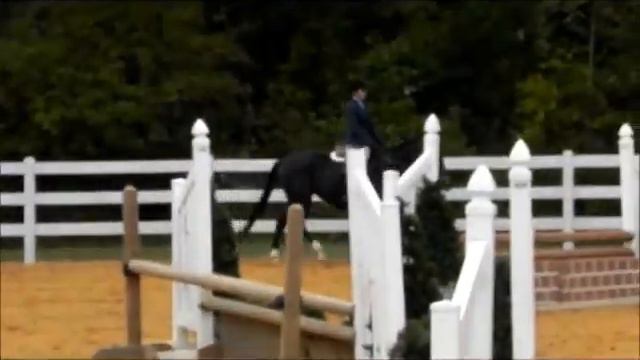 1O-2 Ashley & Brooke Equitation смотреть онлайн