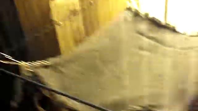 Серая крыска из Бетховена смотреть онлайн