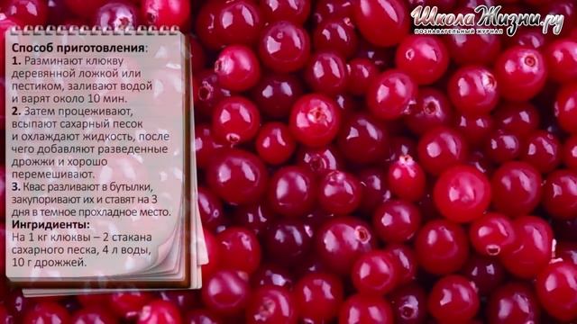 Наука о Здоровье и Жизни