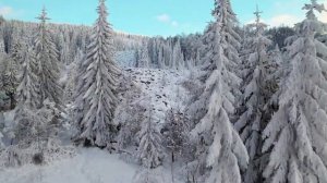 Чакры, тибетские поющие  чаши, настройка энергетики под звуки зимней вьюги