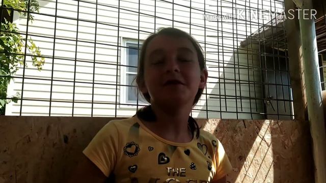 Начало карьеры начинается смотреть онлайн