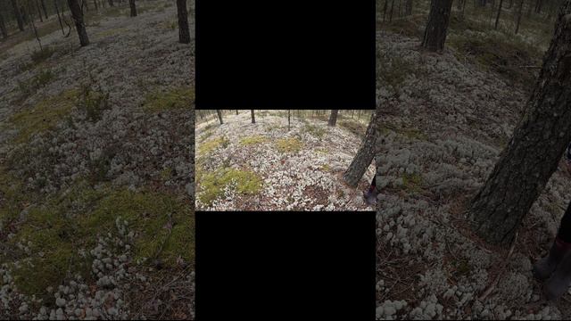 Попался )) смотреть онлайн