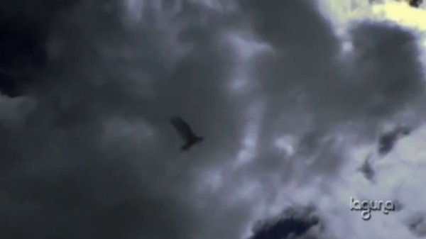 ВОЙНА. УХОДЯТ СОЛДАТЫ НА НЕБО. Песня до слез! Поет Стас Михайлов