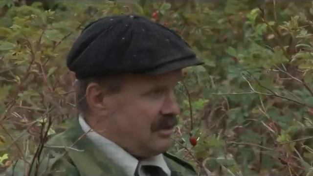 Травовед. Шиповник. Рассказывает Моряков Сергей Викторович смотреть онлайн