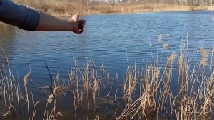 Ловля на раколовку. Ловля раков. 1-часть.Ловля весной.#рекомендации  #раки #раколовка