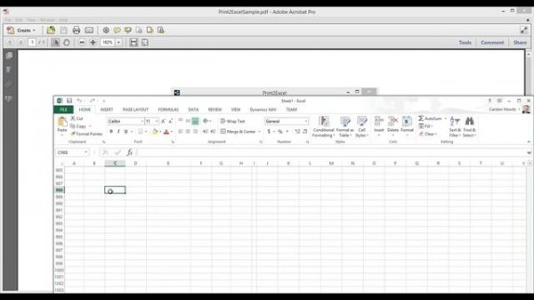 Print2Excel - Print any document to Excel - Documentation Video