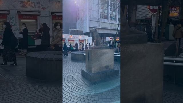 Почему я уехал жить в Японию? Переехать в Японию 2023. Иммиграция #токио #япония #иммиграция смотреть онлайн