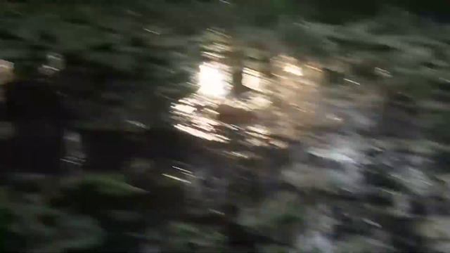 Утки на р. Уча, ЖК "Заречная Слобода" смотреть онлайн