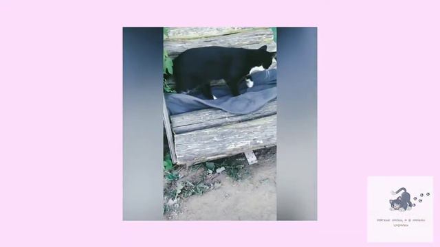 Если долго мучиться, что-нибудь получится...|| If you suffer for a long time something will work ou смотреть онлайн
