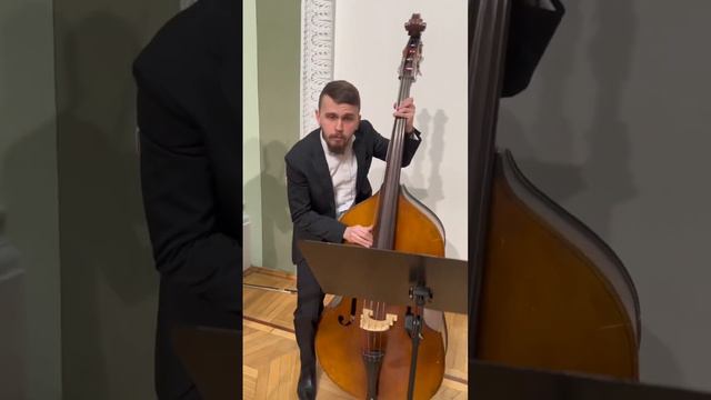 Путеводитель по оркестру смотреть онлайн