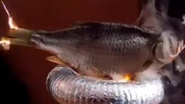 рыба поёт Пабло смотреть онлайн