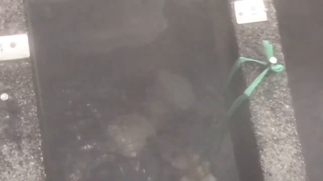 Интересный способ варки яиц в горячих источниках смотреть онлайн