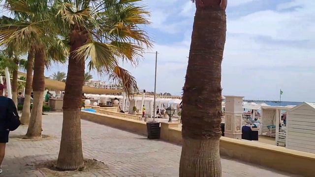 Стоит ли посетить Сахл-Хашиш? смотреть онлайн