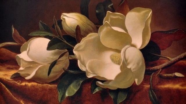 Случайно найденные сокровища