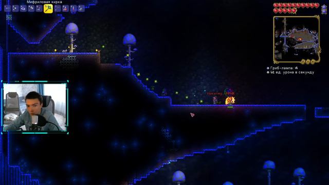 Terraria #3. Игра со зрителями! Ищем чем себя занять! смотреть онлайн