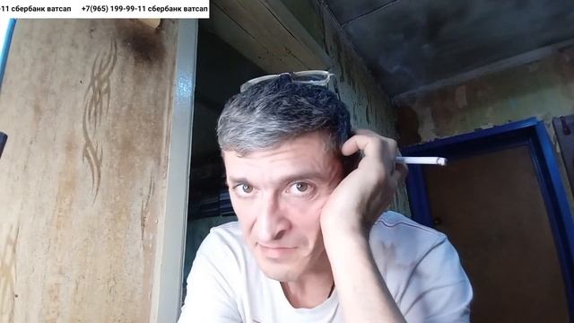 13.11.23 заходим девочки и мальчики!!! #tvmaestro смотреть онлайн