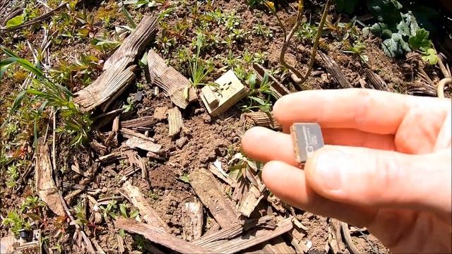 СТАЛК ЗА РАДИОДЕТАЛЯМИ И ЦВЕТНЫМ МЕТАЛЛОМ ПО НЕБОЛЬШИМ СВАЛКАМ ВДОЛЬ РЕКИ!!! смотреть онлайн