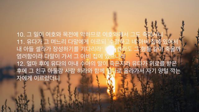 하나님의 비젼의 사람 - Man of God's Vision | 김서라의 바이블타임 | 오디오성경 - 성경읽기 смотреть онлайн