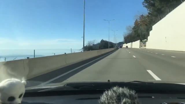 📌Адлер. Как и где я встречаю отдыхающих. Аэропорт - Вокзал. Нюансы. Бронировать жилье: 🌈+7918207004 смотреть онлайн