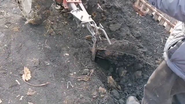 Начал осеннюю вспашку с мотоблоком Агро. #огород #деревня #мотоблок смотреть онлайн