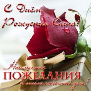 С днём рождения сына! Поздравление маме в день рождения взрослого сына