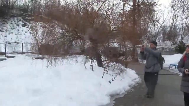 Храм Озерянской иконы Божьей Матери смотреть онлайн