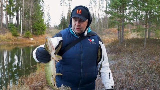 Ловля щуки поздней осенью. Рыбалка на спиннинг в ноябре.