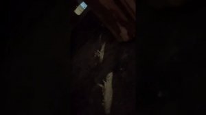ОПАСНО НЕ ПОВТОРЯТЬ. ЧИСТКА ДЫМОХОДА. ВИДЕО ОТ ПОДПИСЧИКА🤣🤣🤣