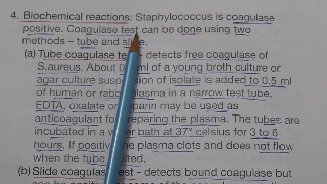 Lab Diagnosis of staphylococcus aureus смотреть онлайн