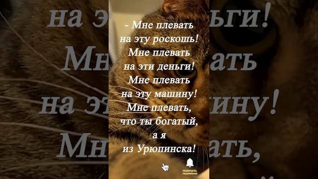 На заднем сидении шикарного мерседеса ... смотреть онлайн