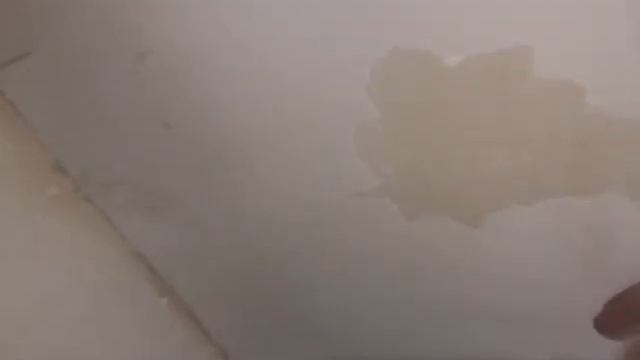 Помогите найти причину. Кнауф мультифиниш лущится с кнауф финишь. Что я сделал не так? смотреть онлайн